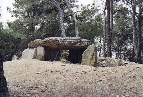 Le dolmen des Fados  Ppieux