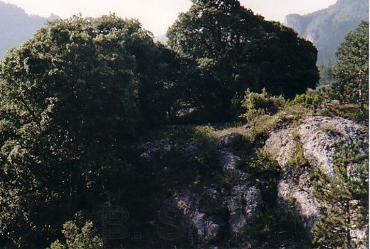 Le tombeau d'Arques