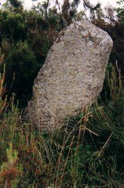 Le menhir de Saint Salvayre - Cliquer pour agrandir