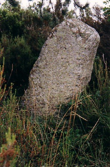 Le menhir de Saint Salvayre